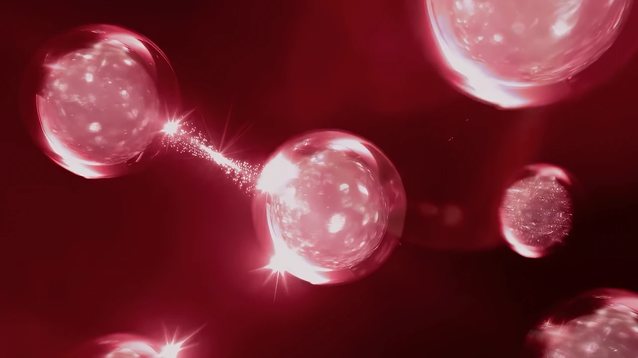 Showreel 2024 (3)